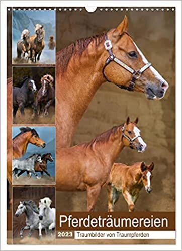 ダウンロード  Pferdetraeumereien - Traumbilder von Traumpferden (Wandkalender 2023 DIN A3 hoch): Faszinierende, nicht alltaegliche Bilder von verschiedenen Pferderassen (Planer, 14 Seiten ) 本