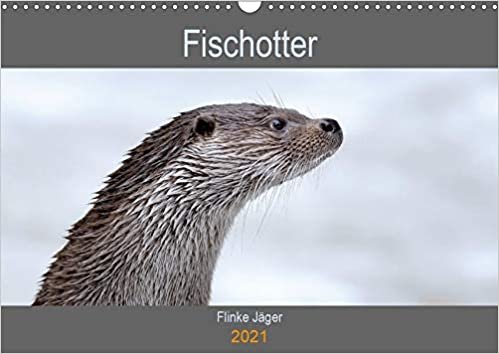 Fischotter, flinke Jäger (Wandkalender 2021 DIN A3 quer): Fischotter sind flinke und wendige Jäger (Geburtstagskalender, 14 Seiten ) indir