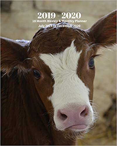 2019 - 2020 | 18 Month Weekly & Monthly Planner July 2019 to December 2020: Baby Calf Cow Farm Animal Vol 2 Monthly Calendar with U.S./UK/ ... Holidays– Calendar in Review/Notes 8 x 10 in. indir