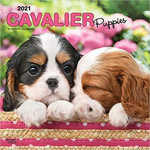 ダウンロード  Cavalier King Charles Spaniel Puppies 2021 Calendar 本