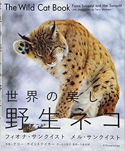 世界の美しい野生ネコ ダウンロード