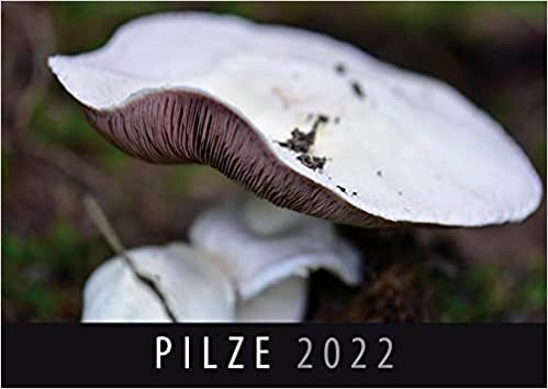 ダウンロード  Pilze 2022: Wandkalender 本