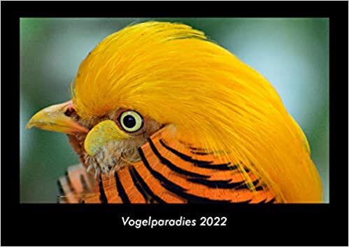 ダウンロード  Vogelparadies 2022 Fotokalender DIN A3: Monatskalender mit Bild-Motiven von Haustieren, Bauernhof, wilden Tieren und Raubtieren 本