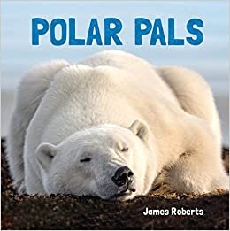 تحميل Polar Pals