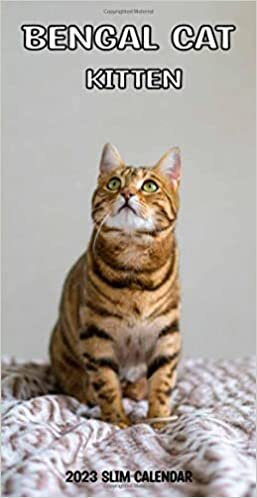 Bengal Cat kitten Slim Calendar 2023 / UK Holidays