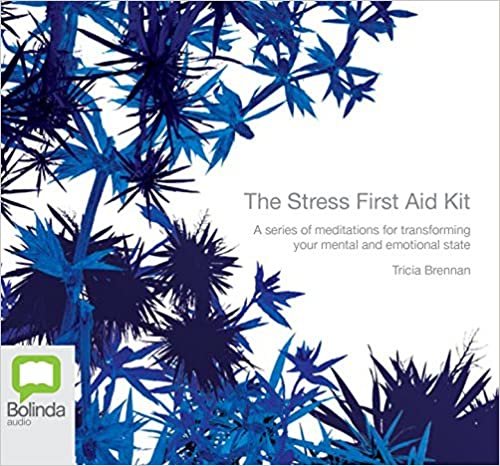 ダウンロード  The Stress First Aid Kit 本