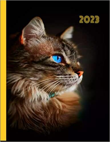 ダウンロード  Planificador español 2023, diario 400 páginas: Para los amantes de los gatos - Grande diaria calendario - español - tamaño A4 -12 meses , Planificador diario y mensual 本