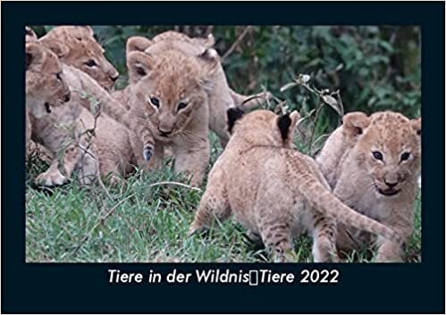 ダウンロード  Tiere in der WildnisTiere 2022 Fotokalender DIN A5: Monatskalender mit Bild-Motiven von Haustieren, Bauernhof, wilden Tieren und Raubtieren 本