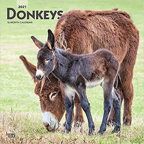 indir Donkeys - Esel 2021 - 16-Monatskalender: Original BrownTrout-Kalender [Mehrsprachig] [Kalender] (Wall-Kalender)