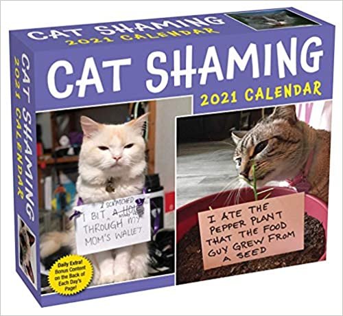 ダウンロード  Cat Shaming 2021 Day-to-Day Calendar 本