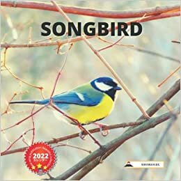 New Wing Publication Beautiful Collection 2022 カレンダー Song Bird (日本の祝日を含む) ダウンロード
