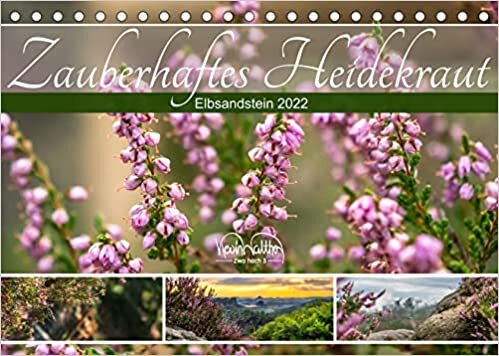 ダウンロード  Zauberhaftes Heidekraut - Elbsandstein (Tischkalender 2022 DIN A5 quer): Das Heidekraut bringt Farbe in jede Landschaft. (Geburtstagskalender, 14 Seiten ) 本