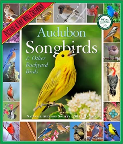 ダウンロード  Audubon Songbirds & Other Backyard Birds Calendar 2013 (Picture a Day Wall Calendar) 本
