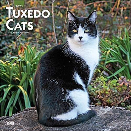 ダウンロード  Tuxedo Cats 2021 Calendar 本