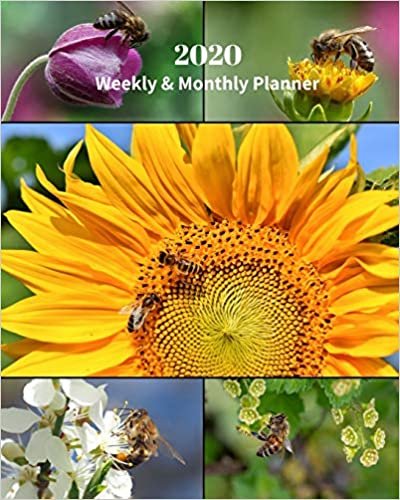 2020 Weekly and Monthly Planner: Bees and Flowers Collage - Monthly Calendar with U.S./UK/ Canadian/Christian/Jewish/Muslim Holidays– Calendar in ... in.-Insects Bugs Flowers Wildflowers Nature indir