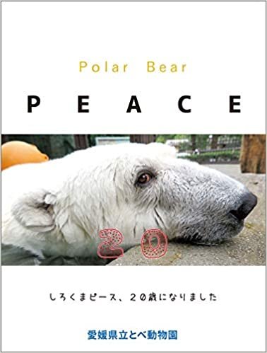 ダウンロード  Polar Bear PEACE 20 本