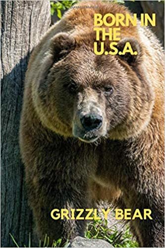 indir BORN IN THE U.S.A.: Bear Grizzly, Animal, Animal U.S.A. , Life in nature, American Nature