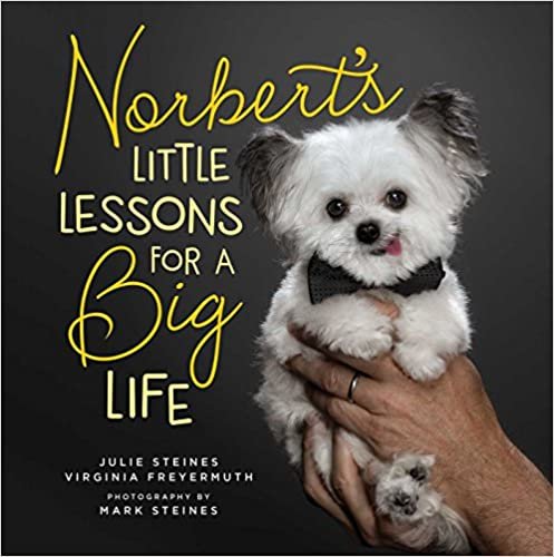 ダウンロード  Norbert's Little Lessons for a Big Life 本