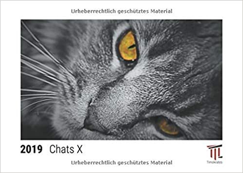 indir chats x 2019 calendrier de bureau timokrates calendrier photo calendrier photo d