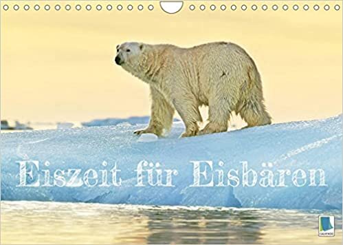 Eisbaeren: Lebenskuenstler im Eis (Wandkalender 2022 DIN A4 quer): Eisbaeren: Faszination Polarbaer (Monatskalender, 14 Seiten )