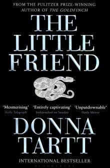 Бесплатно   Скачать Donna Tartt: The Little Friend