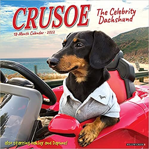 تحميل Crusoe the Celebrity Dachshund 2022 Wall Calendar