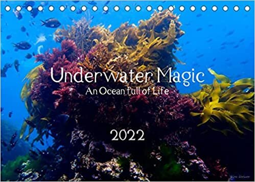 Underwater Magic (Tischkalender 2022 DIN A5 quer): Lass dich verzaubern von der Magie der faszinierenden Unterwasserwelt! (Monatskalender, 14 Seiten )