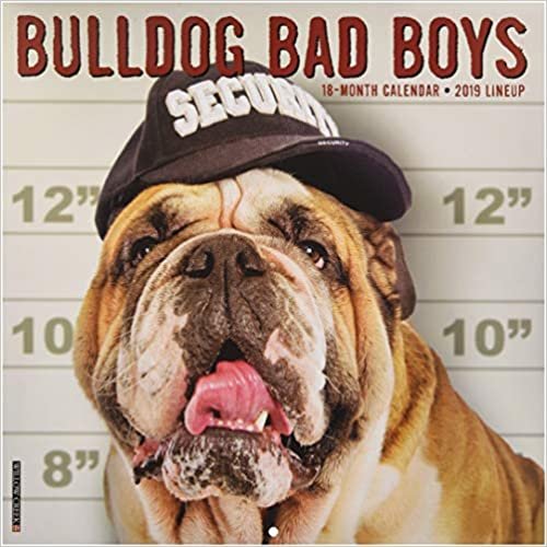 ダウンロード  Bulldog Bad Boys 2019 Calendar 本