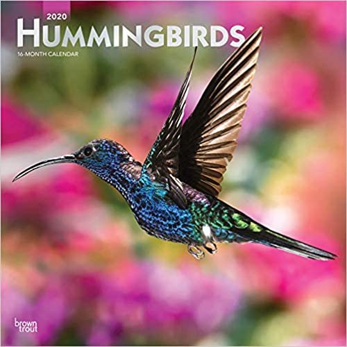 Hummingbirds 2020 Calendar: Foil Stamped Cover