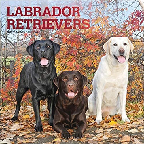 ダウンロード  Labrador Retrievers 2021 Calendar 本