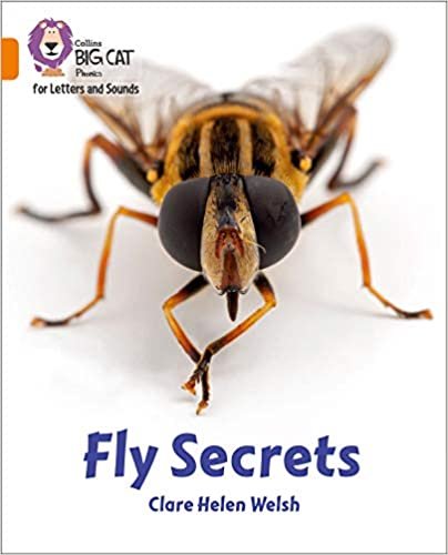 indir Welsh, C: Fly Secrets (Collins Big Cat Phonics for Letters and Sounds)