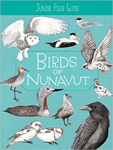 Birds of Nunavut: English Edition
