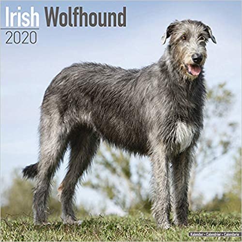 Irish Wolfhound Calendar 2020
