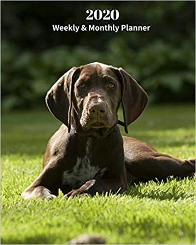 2020 Weekly and Monthly Planner: Monthly Calendar with U.S./UK/ Canadian/Christian/Jewish/Muslim Holidays– Calendar in Review/Notes 8 x 10 in.-German Short Haired Pointer Dog Breed Pets indir