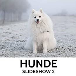 HUNDE: Slideshow 2 (German Edition)