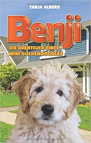 indir Benji - Die Abenteuer eines Mini Goldendoodles