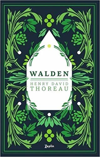Walden - Ormanda Yaşam indir
