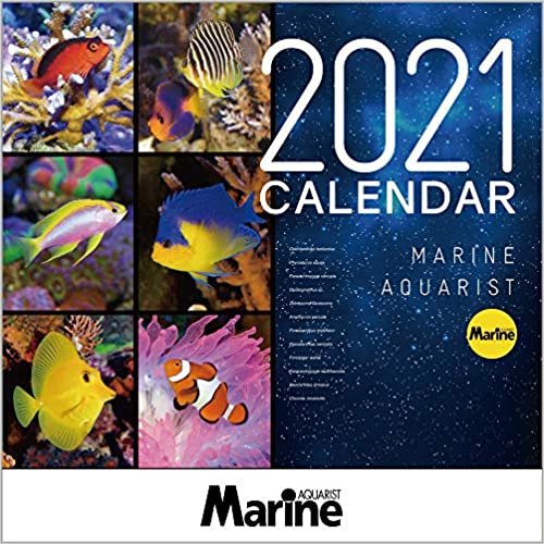 マリンアクアリスト 海水魚カレンダー 2021年 ([カレンダー]) ダウンロード