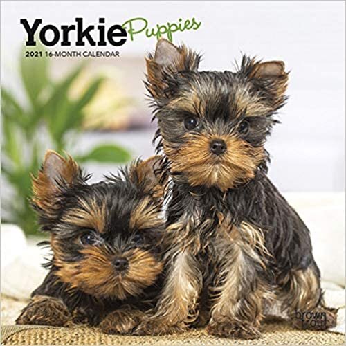 ダウンロード  Yorkshire Terrier Puppies 2021 Calendar 本