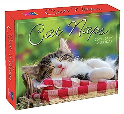 Cat Naps 2021 Calendar (Box)
