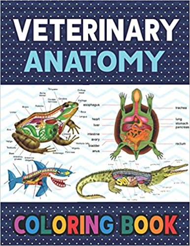 Veterinary Anatomy Coloring Book: Learn The Veterinary Anatomy With Fun & Easy. Veterinary Physiology Animals Workbook and Coloring Book. Dog Cat Horse Frog Bird Anatomy Coloring book. Vet tech coloring books. Handbook of Veterinary Anesthesia.