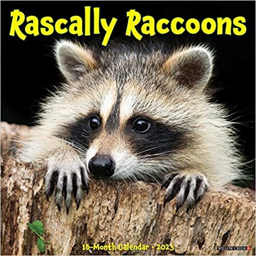ダウンロード  Rascally Raccoons 2023 Wall Calendar 本