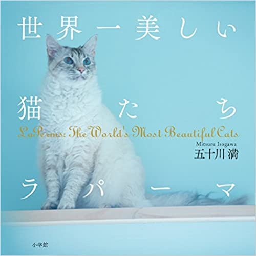 世界一美しい猫たち ラパーマ ダウンロード