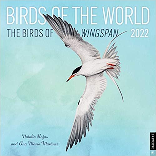Birds of the World: The Birds of Wingspan 2022 Wall Calendar ダウンロード