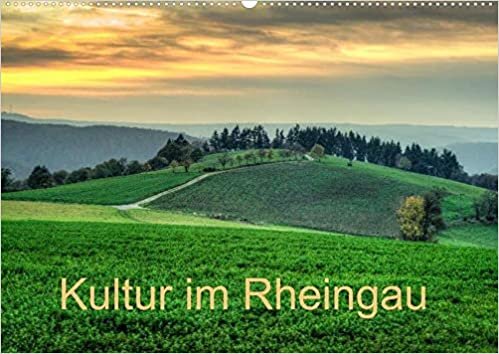 Kultur im Rheingau (Wandkalender 2021 DIN A2 quer): Kultur im Rheingau: gepraegt durch eine lange Tradition des Weinbaus und des Handels mit einer Fuelle von architektonischen Highlights (Monatskalender, 14 Seiten )