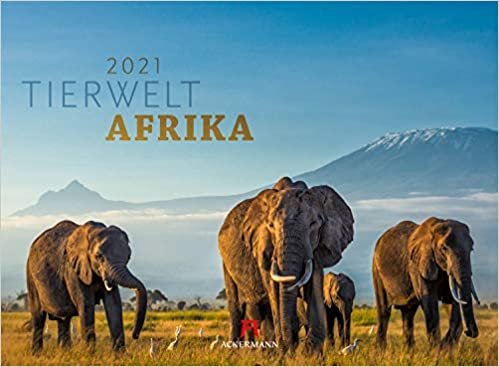 Tierwelt Afrika 2021 indir