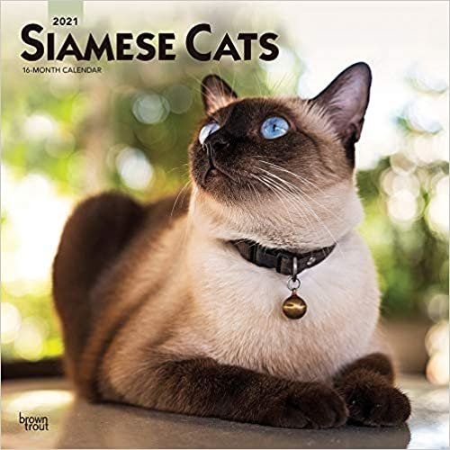 Siamese Cats 2021 Calendar