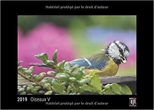 oiseaux v 2019 edition noire calendrier mural timokrates calendrier photo calend indir