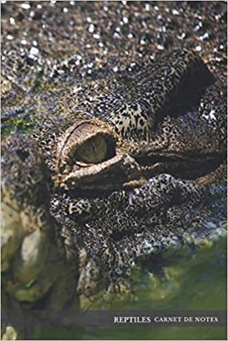 Reptiles Carnet de Notes Pour Passionné Serpent Lézard Crocodiles Amphibiens: Cahier ligné 120 pages | Cadeau Noël Adulte Homme F Adolescent, Enfant Garçon & Fille indir