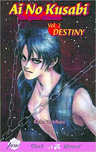 Ai No Kusabi The Space Between Volume 2: Destiny (Yaoi Novel): Destiny (Yaoi Novel) v. 2 indir